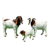Hot-Selling Outdoor Custom Resin Art Sculptures Goat Statues