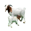 Hot-Selling Outdoor Custom Resin Art Sculptures Goat Statues