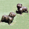 Cast Bronze Pet Dog Small Animal Art Metal Bronze Statue