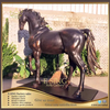 Outdoor Life Size Casting Bronze Garden Horse Sculpture